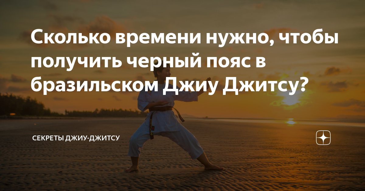 Сколько времени нужно, чтобы получить черный пояс в бразильском Джиу ...