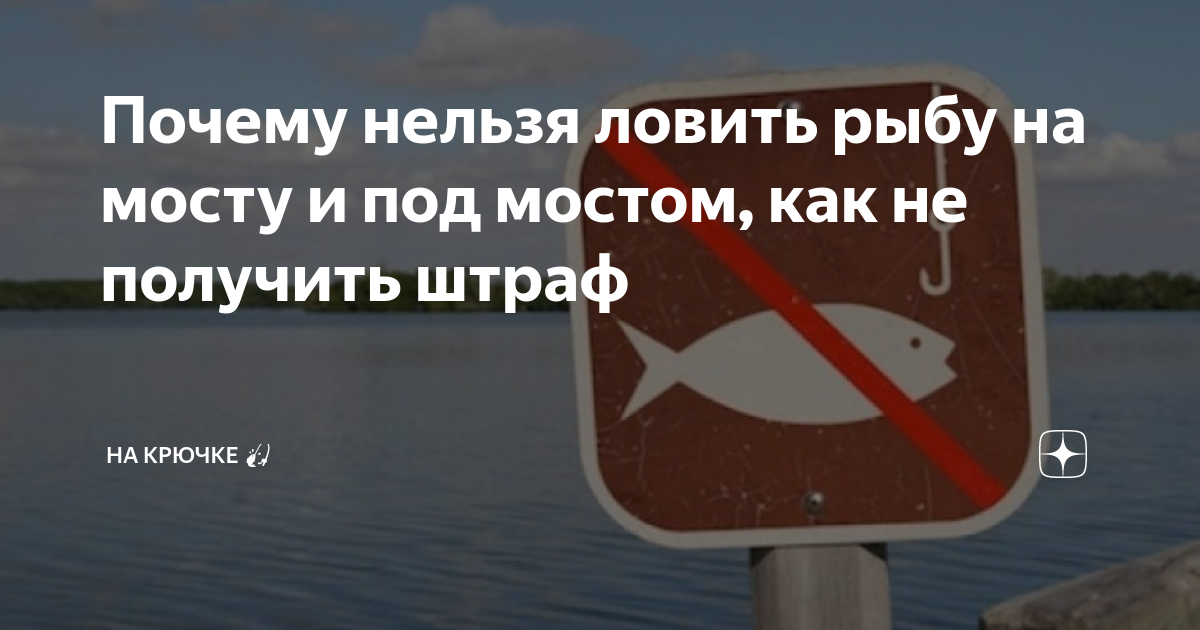Картинки В КАКОЕ ВРЕМЯ МОЖНО РЫБАЧИТЬ