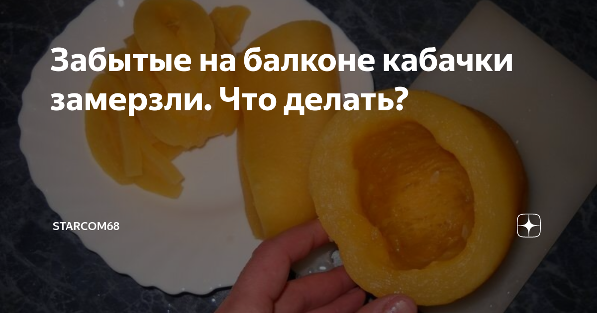 Растения после заморозков. Кабачки замерзли на грядке. Кабачок растение. Огурцы подмерзли. Кабачок замерз.