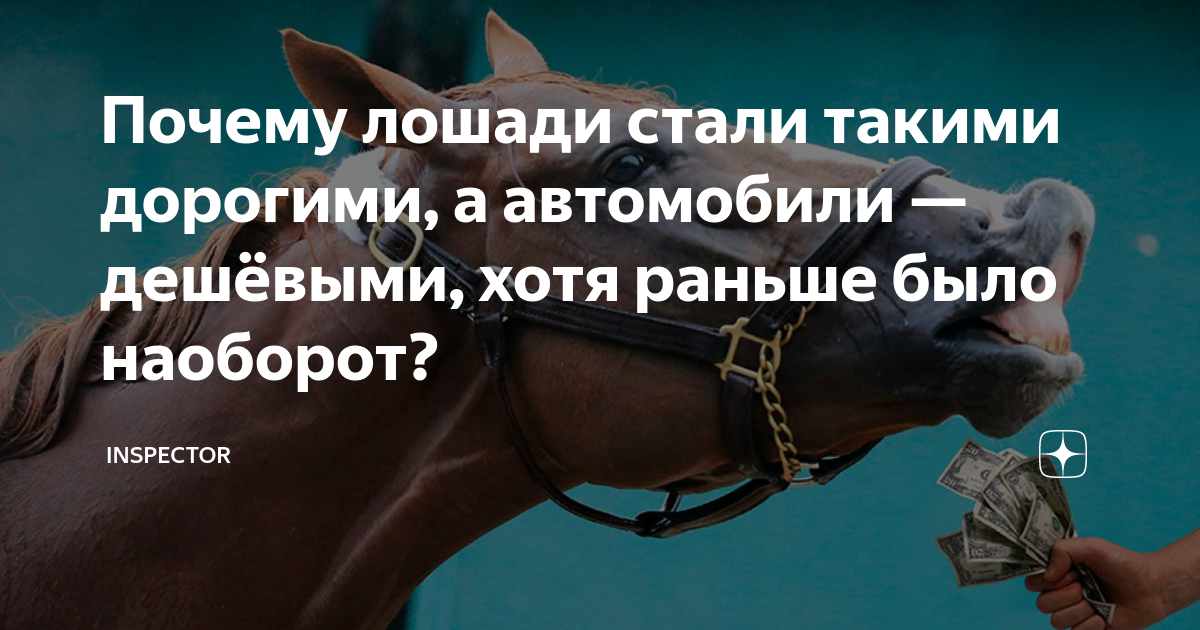 почему лошади вызывали такое острое. сочинение о чем плачут лошади кратко. зачем подковывают коней. какие эмоции вызывают лошади. почему лошади вызывали такое острое.