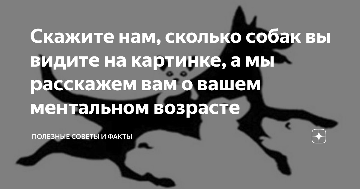 7 собак на картинке где собака