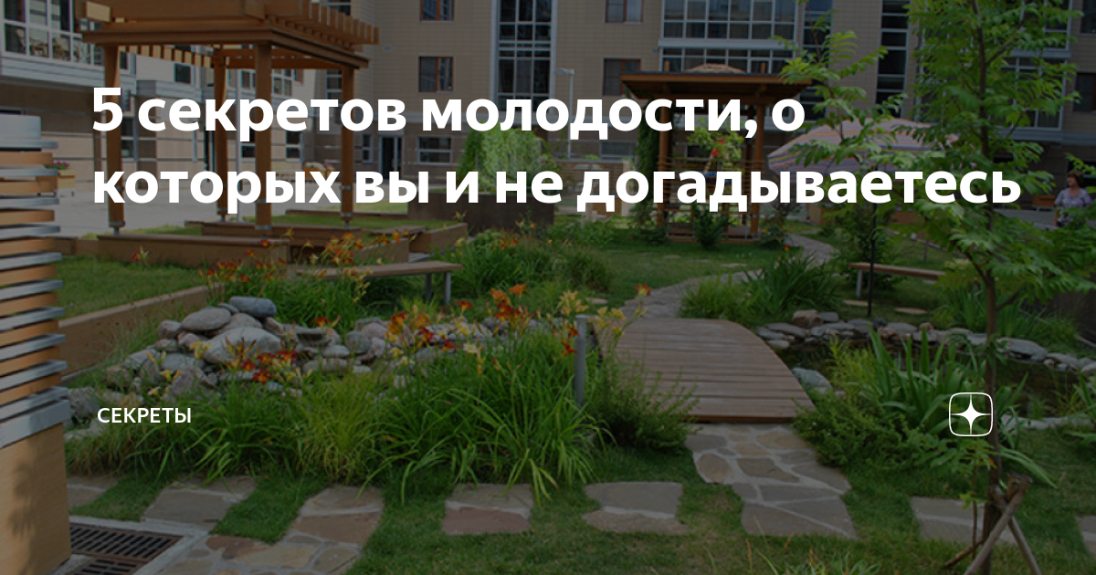 5 секретов молодости, о которых вы и не догадываетесь | Секреты | Дзен