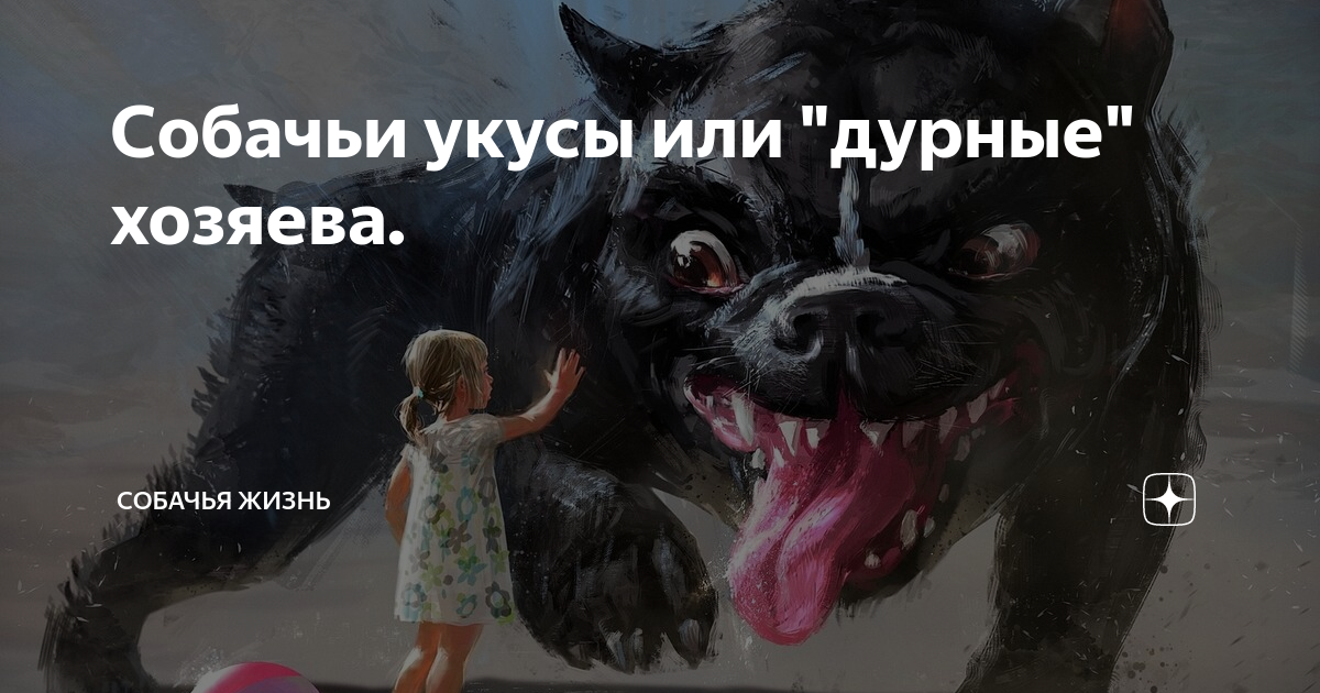 Укусила собака: куда обращаться с жалобой, ответственность хозяина, какой штраф