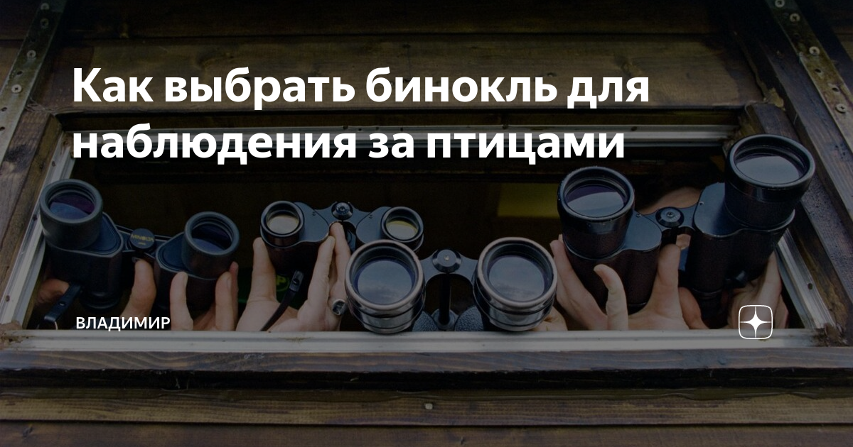как выбрать бинокль для наблюдения