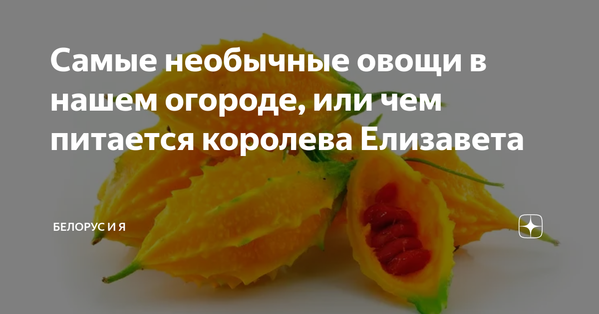 Сообщение овощ 5 класс