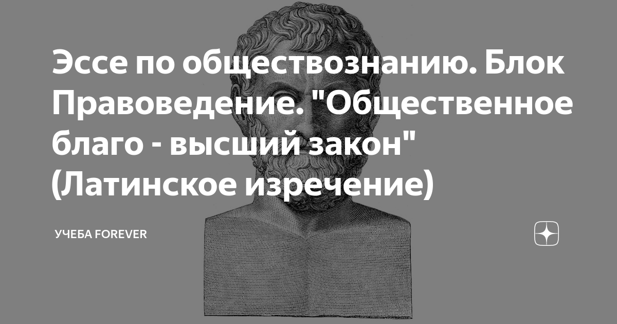 Человек выше закона. Блоки правоведения. Благо больного высший закон эссе. Высказывание смысла общее благо. Справедливость следует за законом латинское изречение.