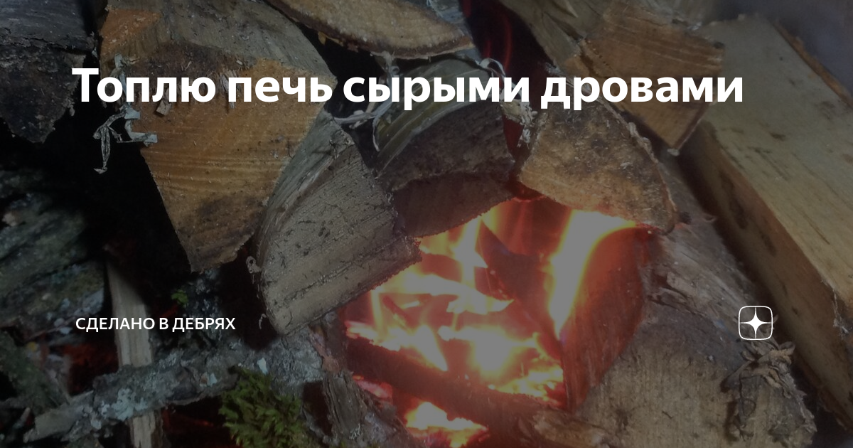 сырые дрова что делать