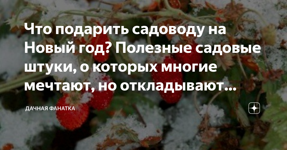 Что подарить садоводу на Новый год? Полезные садовые штуки, о которых ...