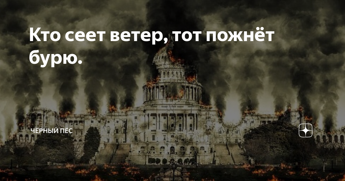 Кто сеет ветер пожнет бурю. Сеющий ветер пожнет бурю Библия. Кто сеет ветер тот пожнет бурю откуда. Посеявший ветер пожнет бурю картинки. Посеяли ветер пожали бурю