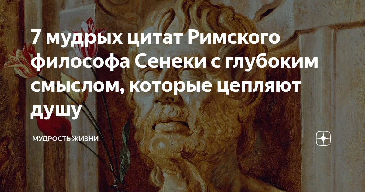 Изречения Сенеки о судьбе человека. Сенека жизнь коротка. О мудрости говорили римляне цитаты. Главный враг мудрости - мудрствование! Сенека.