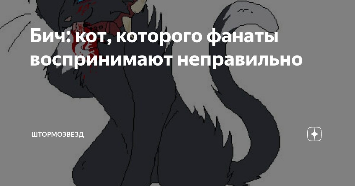 Бич: кот, которого фанаты воспринимают неправильно | Meteora | Дзен