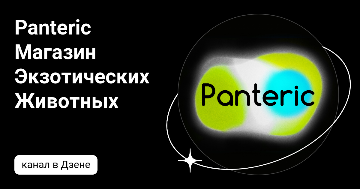 Panteric Магазин Экзотических Животных | Дзен
