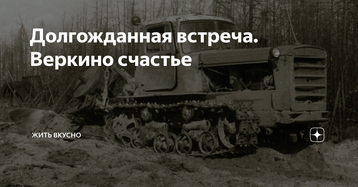 Долгожданная встреча. Веркино счастье | Жить вкусно | Дзен