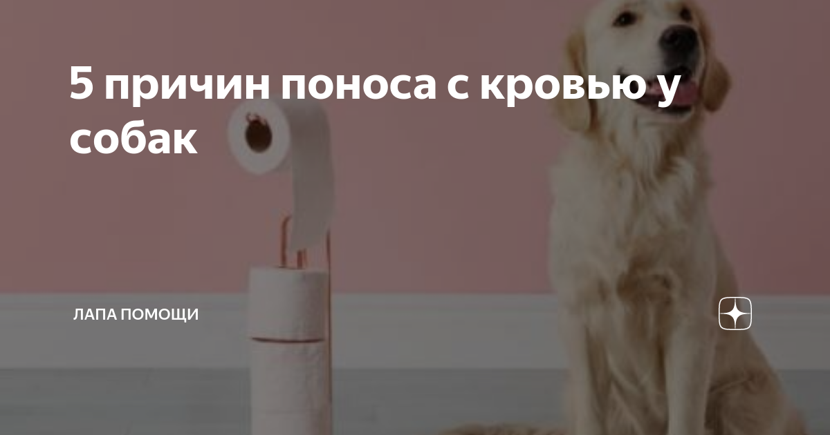 1. Инфекционные заболевания