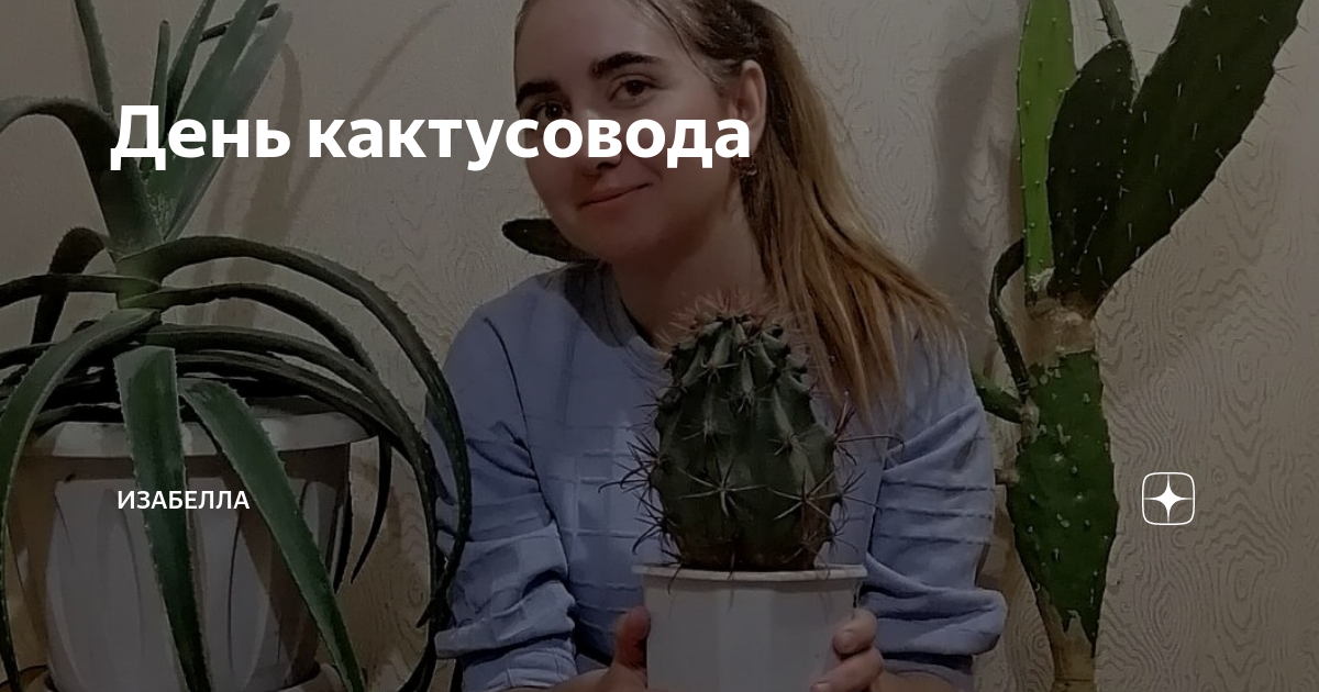 День кактусовода 23 апреля картинки