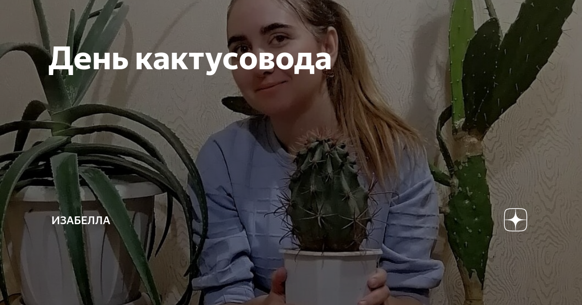 День кактусовода картинки