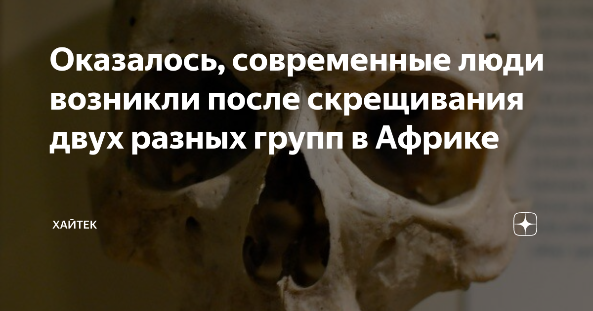 Оказалось, современные люди возникли после скрещивания двух разных ...