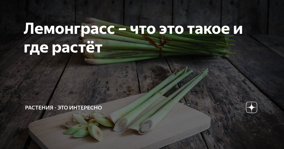 Раф лемонграсс что это