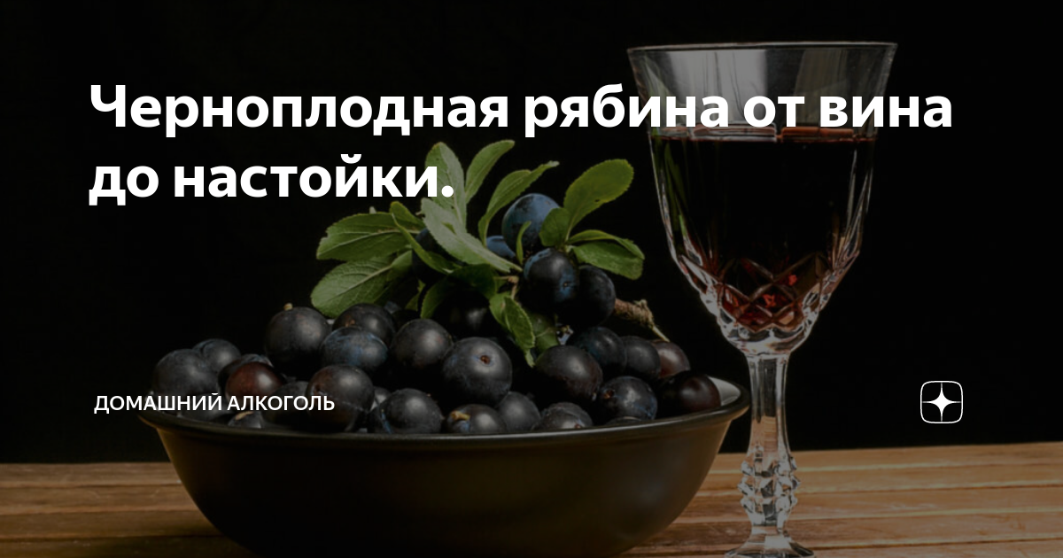 Как сделать вино из черноплодной рябины с водкой? Рецепт приготовления