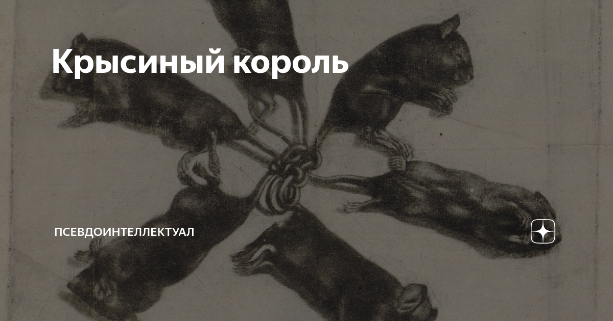 Покажи фотку крысиного короля. Живой крысиный Король 2021. Крысиный Король Король 1576. Крысиный Король крыса крысиный Король. Крысиный Король Эстония 2005.