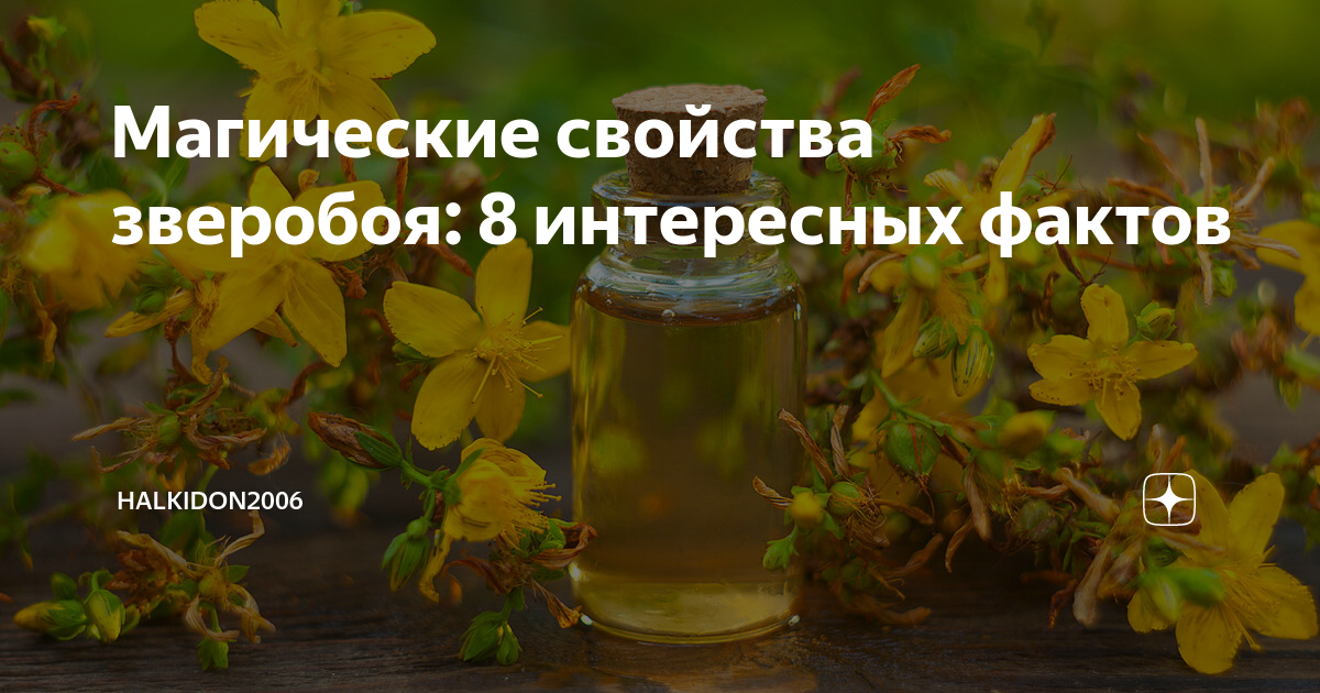 Зверобой магические свойства.