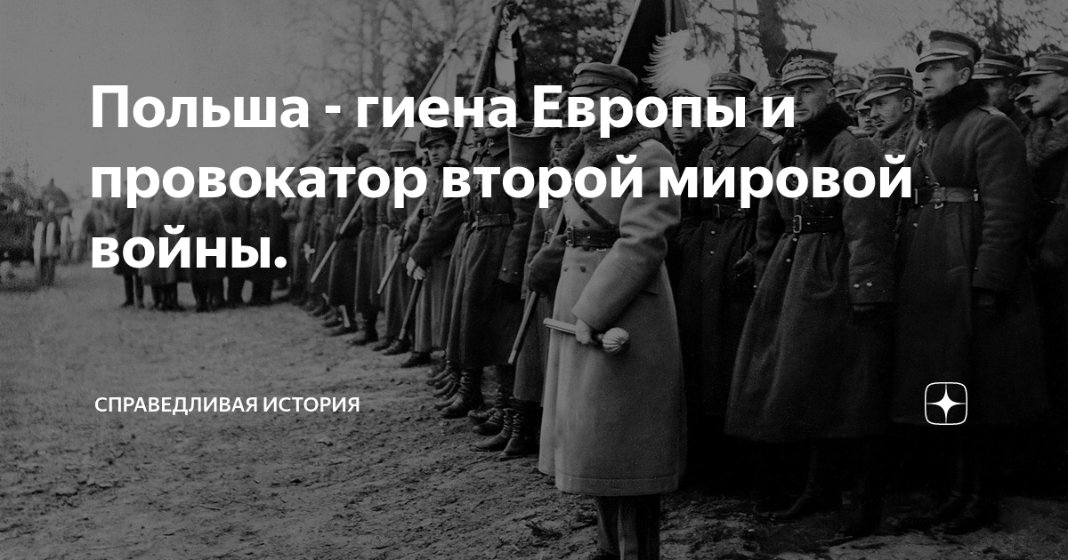 Польша гиена европы картинки