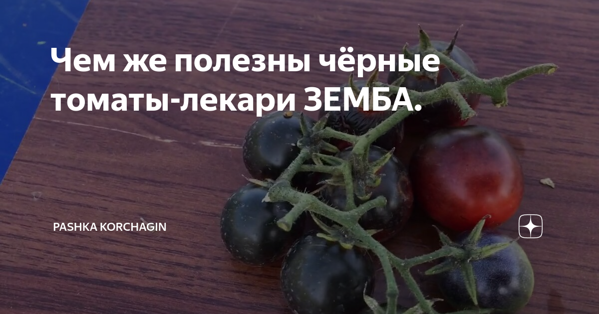 Дзен огородников. Огородник. Дзен огородников. Туманов огородник. Огородник.