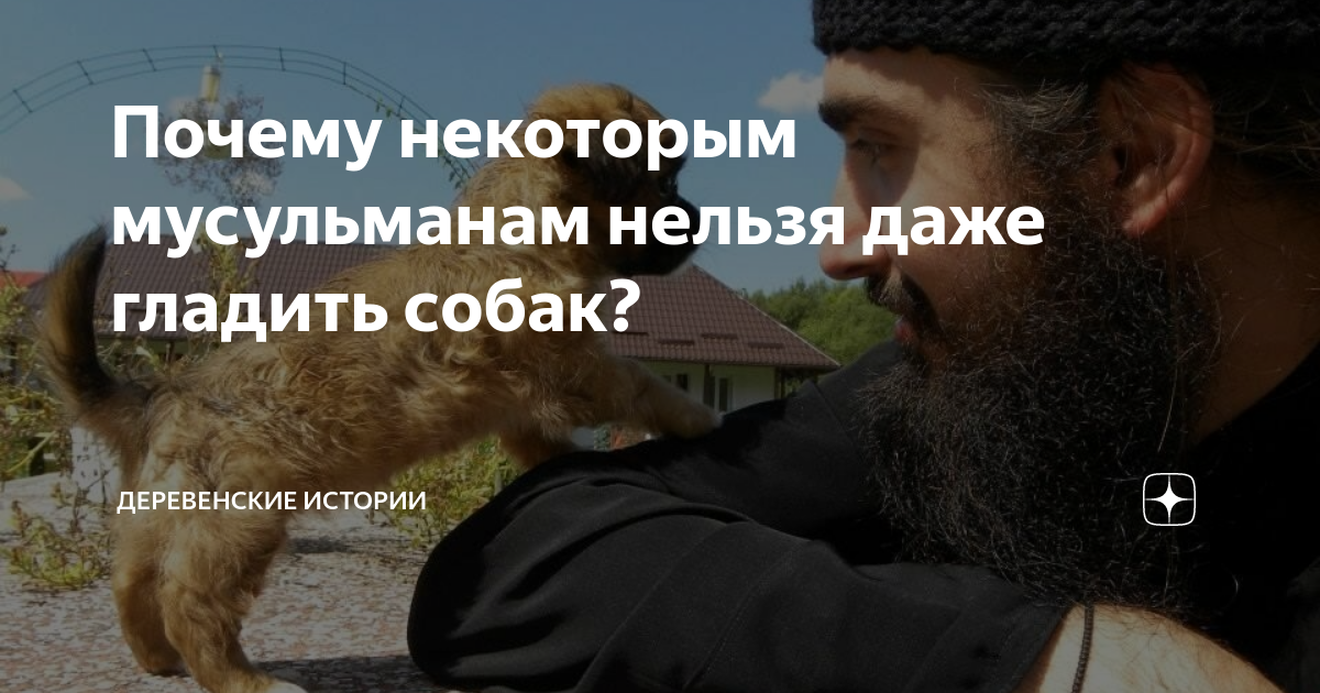 Собака в исламе нечистое животное