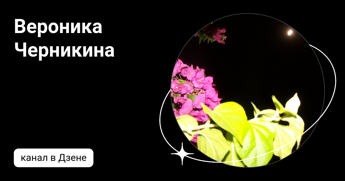Вероника Черникина | Дзен