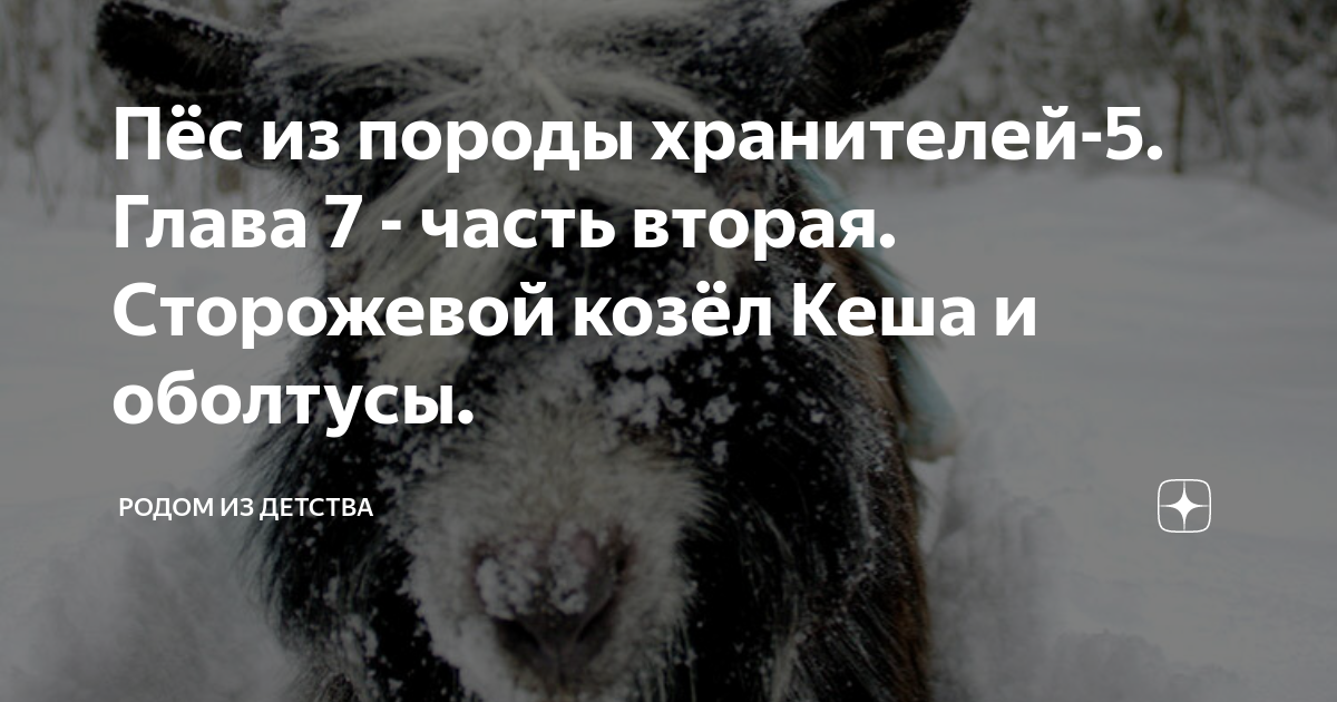 Родом из детства дзен. Пес из породы хранителей глава 32. Пёс из породы хранителей книга 3 глава 20. Родом из детства дзен пёс породы хранителей глава 13. Родом из детства дзен пёс породы хранителей глава 27.