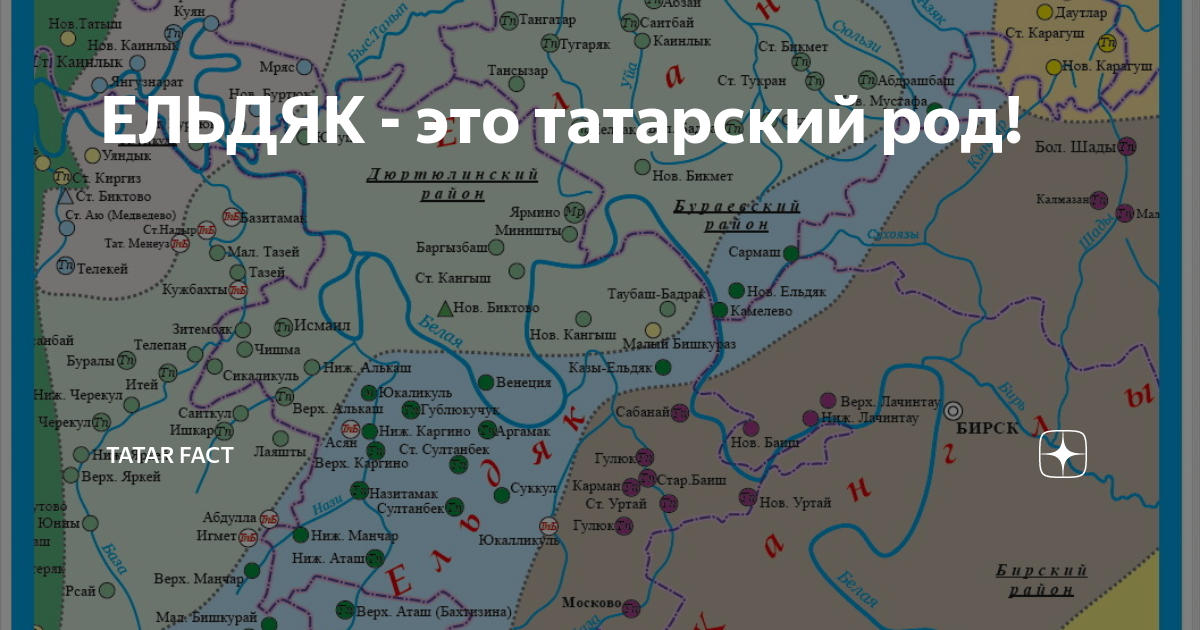 Роды татар. Татарские роды. В роду татары. Янаульские татарские рода. Татарский род Гайна.