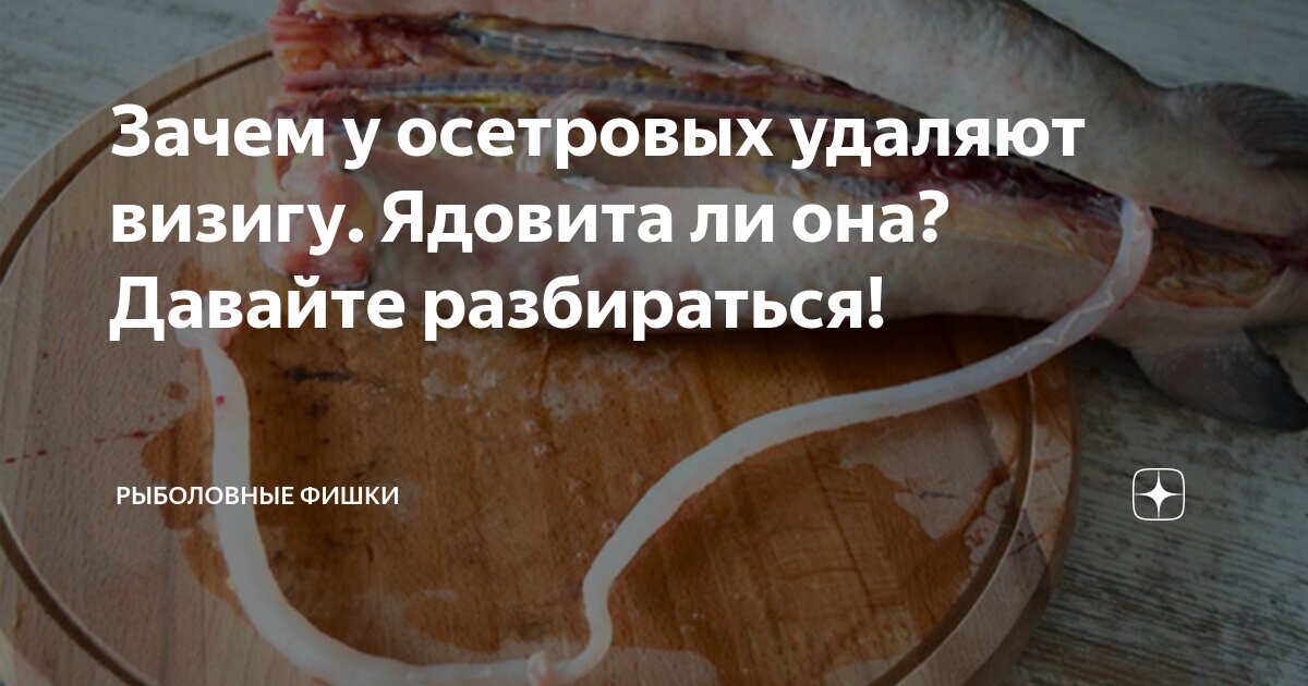 История промысла и возможности восстановления балтийского осетра в Юго-Восточной Балтике