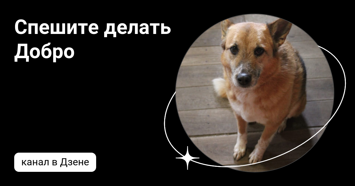 Делающий добро дзен