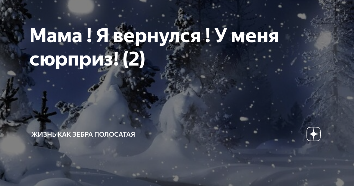 Мама ! Я вернулся ! У меня сюрприз! (2) | Жизнь как зебра полосатая. | Дзен