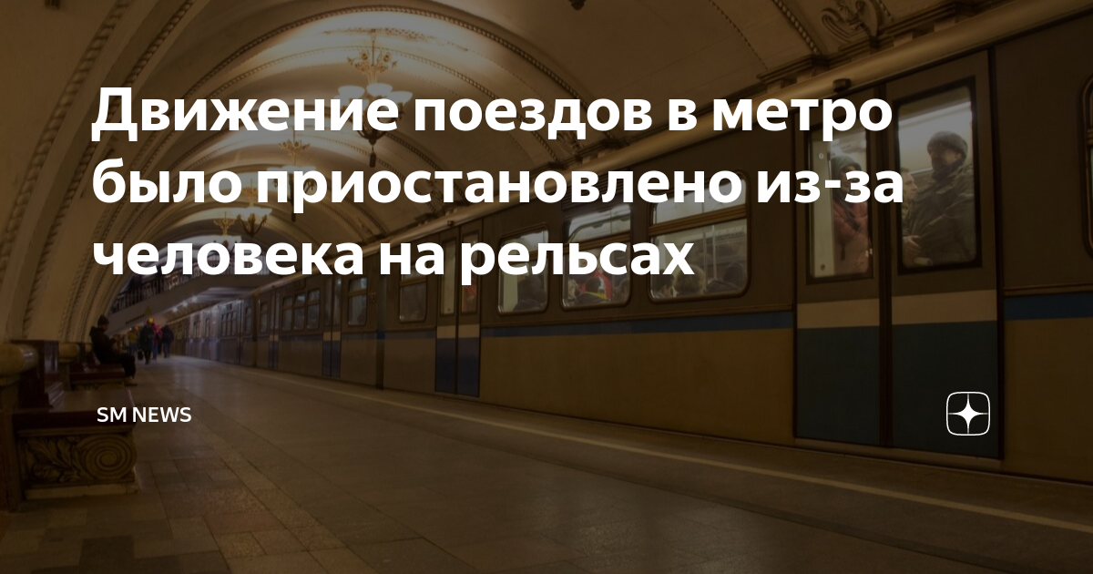 Гражданин Индии парализовал движение поездов на салатовой ветке метро