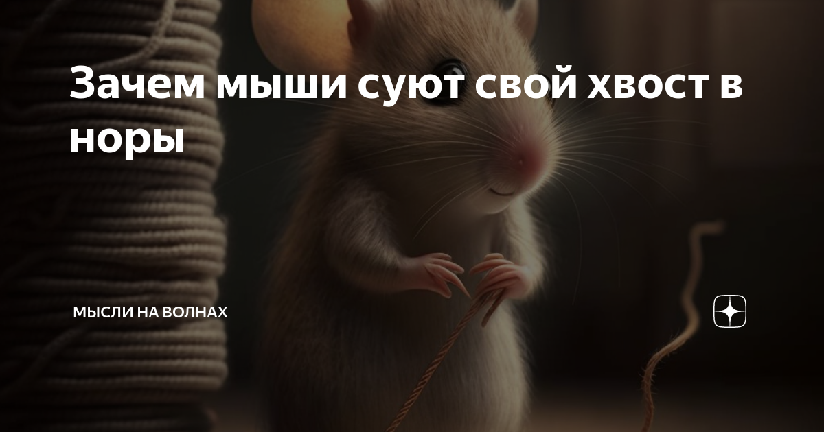 Почему мышь так называется. Мышонок с хвостиком. хвост мышиный задание. мышьсовать. хвостик мышки своими руками для девочки.