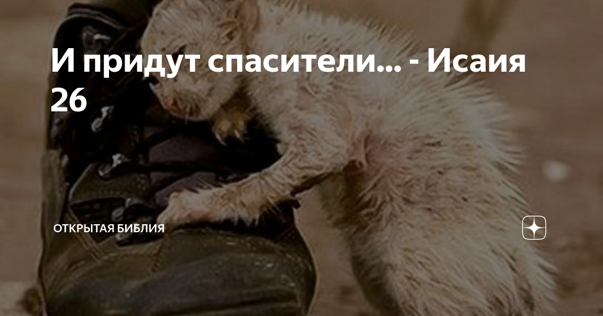 Спаситель приехал. Терминатор да придёт спаситель постер. Сэм уортингтон терминатор да придёт спаситель. Спаситель приехал. Спаситель приехал.