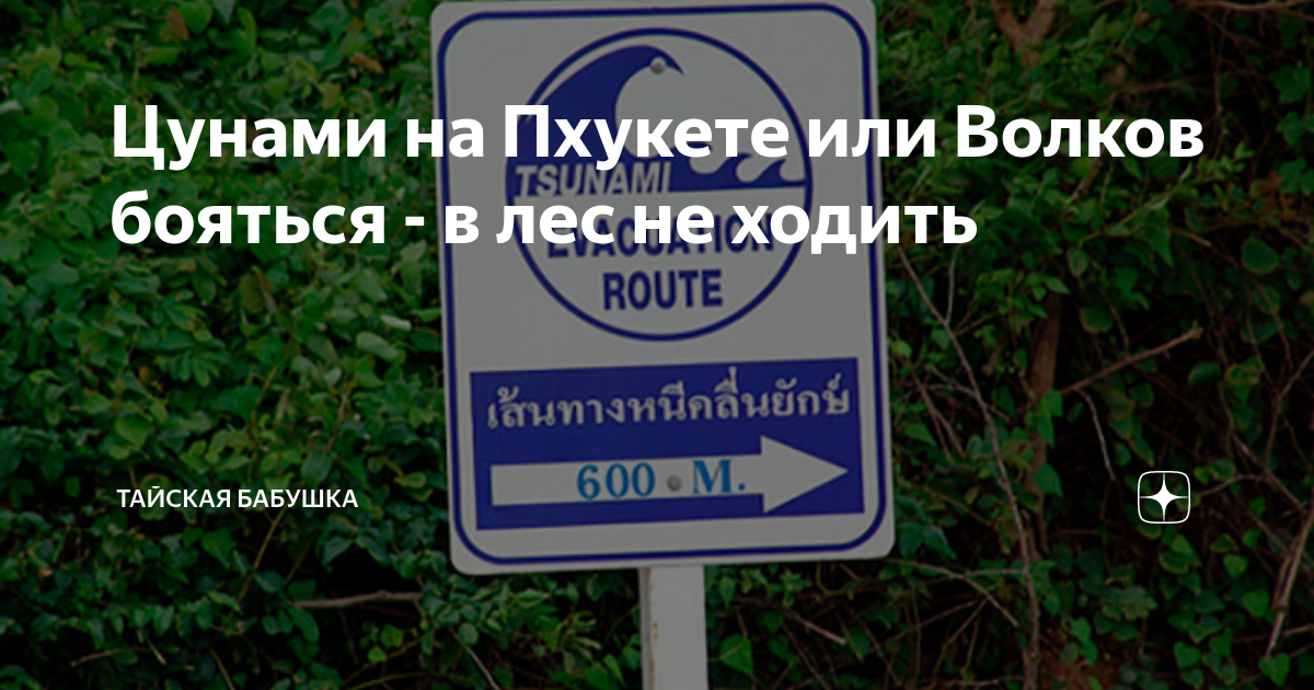 Цунами на Пхукете или Волков бояться - в лес не ходить | Тайская ...