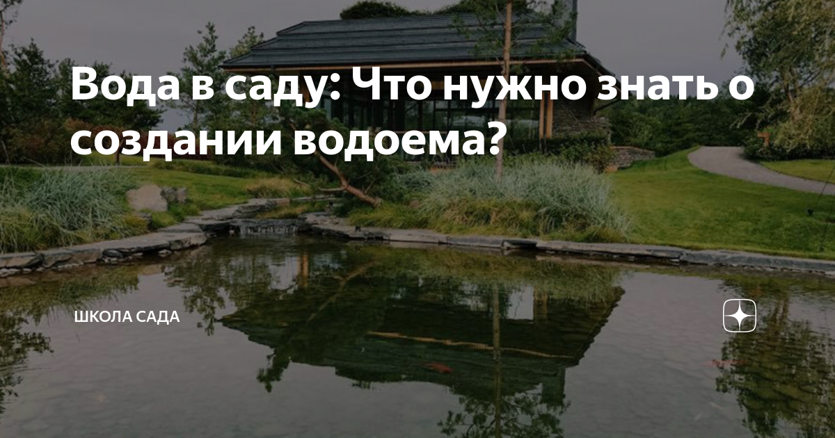 Вода в саду: Что нужно знать о создании водоема? | Школа сада | Дзен