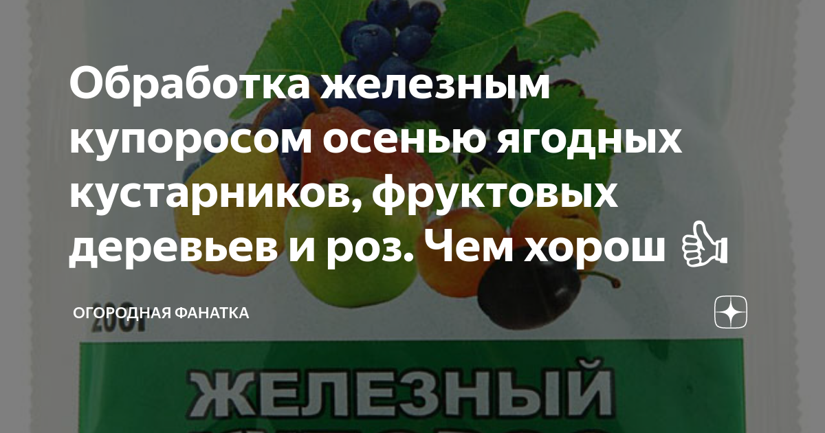 Виноград осенью купорос. Железный купорос для обработки. Обработка железным купоросом осенью. Железный купорос для обработки деревьев. Обработка деревьев осенью железным купоросом.