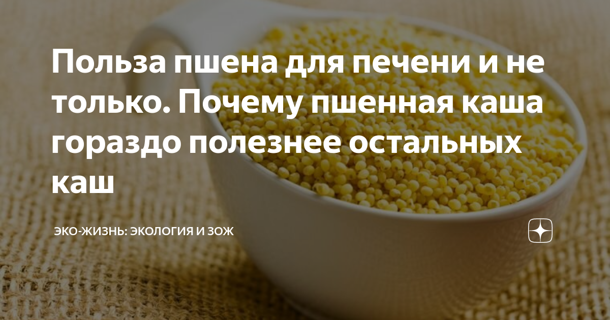 Просо вред. Пшено польза. Польза пшенной крупы. Крупы и печень. Полезные крупы для печени.