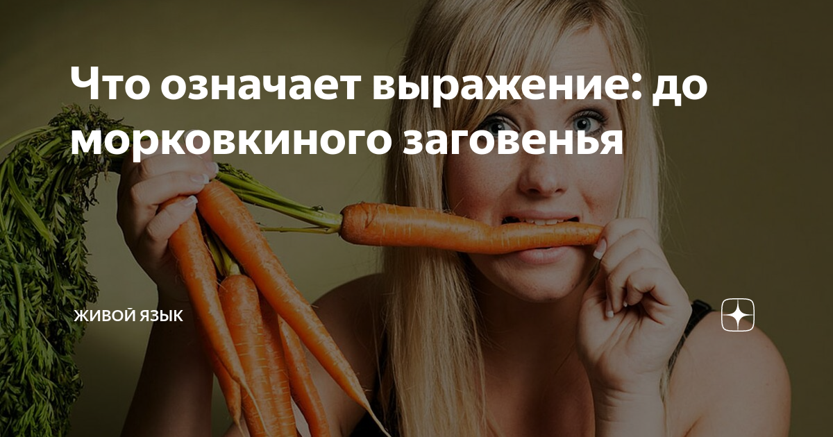 До морковкиной загоди что значит: подробный разбор понятия