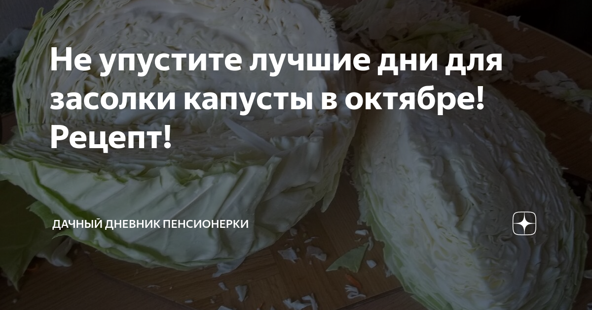 Благоприятные дни солить капусту в октябре. Лучшие дни для засолки капусты в октябре. Дни засолки капусты в октябре. Удачные дни для засолки капусты в октябре 2022. Дневник пенсионерки дзен