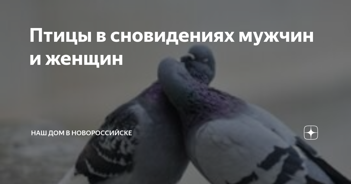 Птицы в сновидениях мужчин и женщин