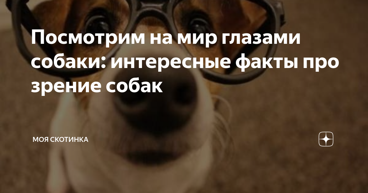 Ответы Mail.ru: Для кого снимают широкоэкранные фильмы?