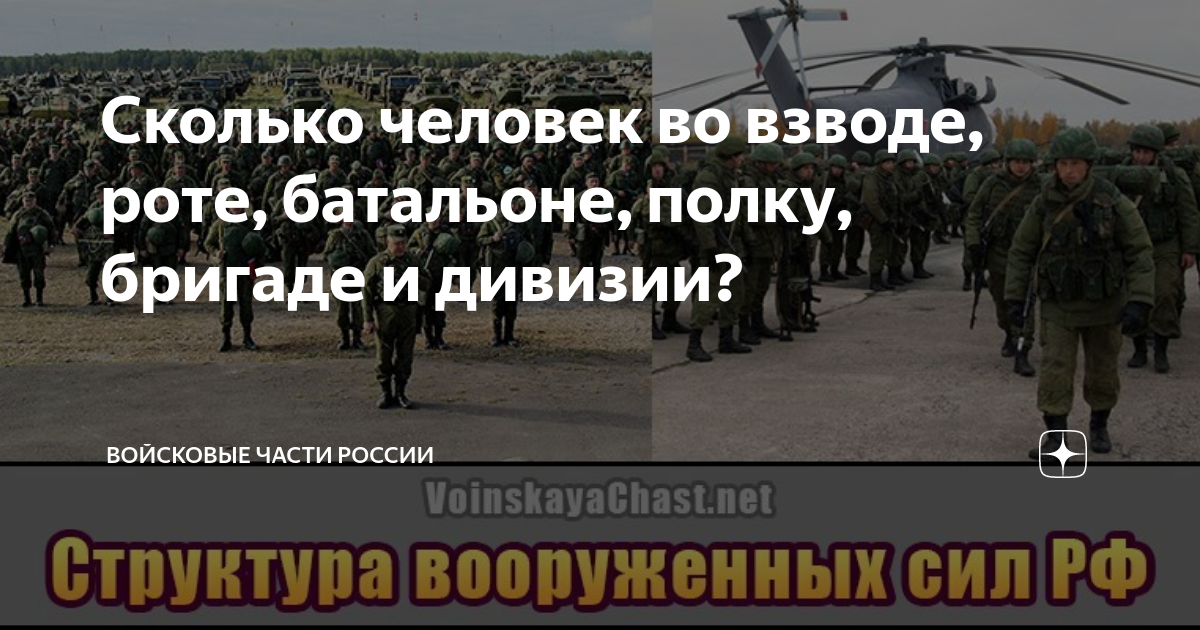 Количество солдат в полку сухопутных войск