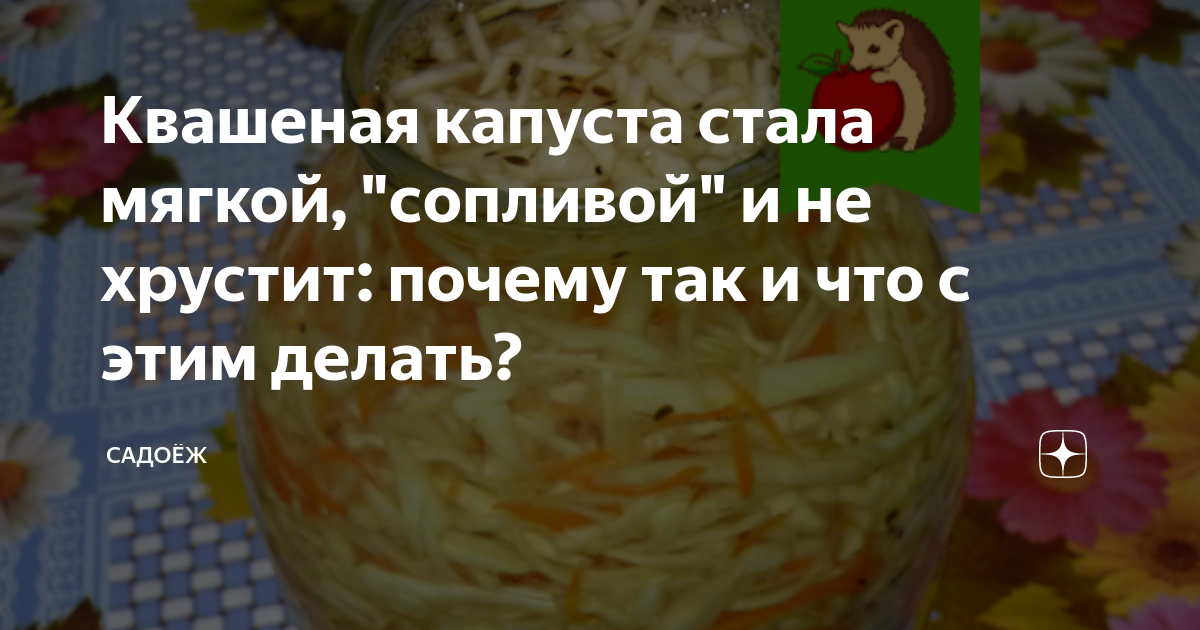 Квашеная капуста, рецепт приготовления