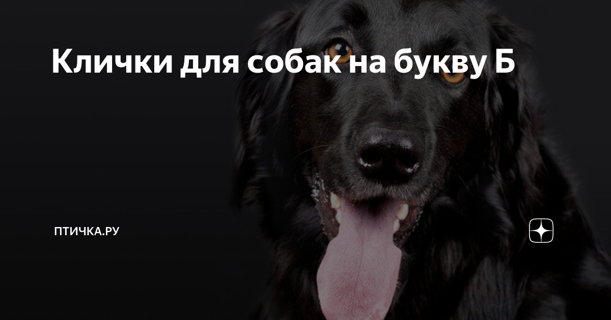Имя собаки 3 буквы