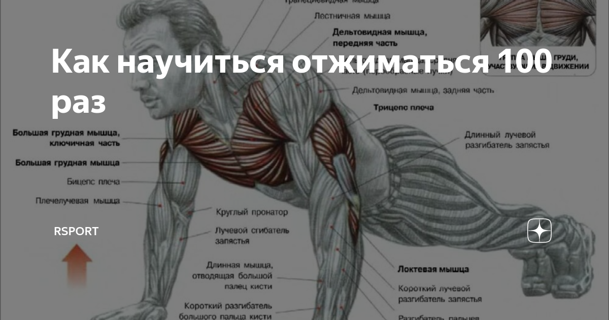 100 раз. Отжимания на дельтовидные мышцы. Как отжиматься 100 раз. Отжимания 100 раз. 100 Отжиманий за месяц