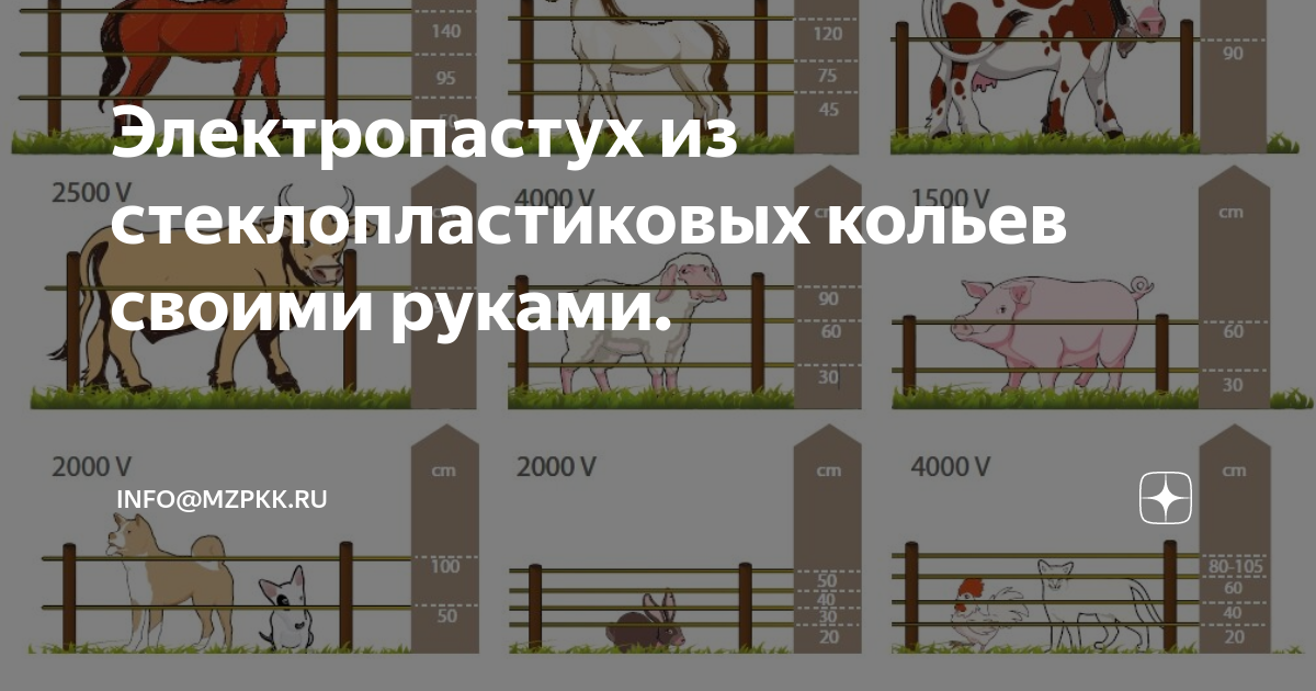 Как сделать электропастух своими руками или лучше готовый купить электропастух?